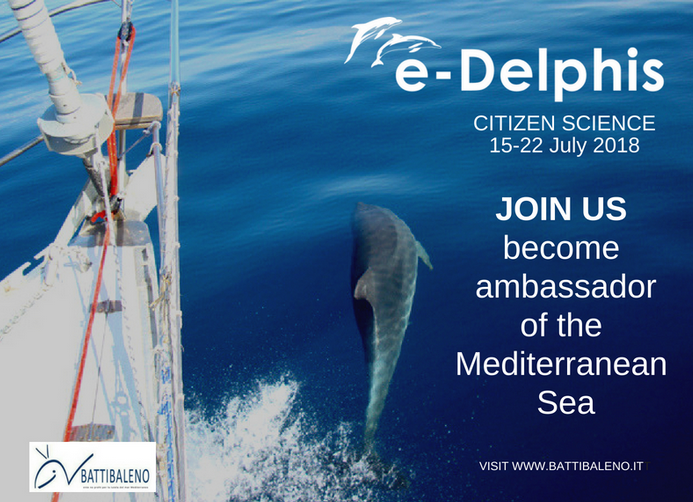 E-Delphis, una settimana alla ricerca (e difesa) di delfini e balene